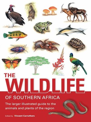 cover image of The Wildlife of Southern Africa